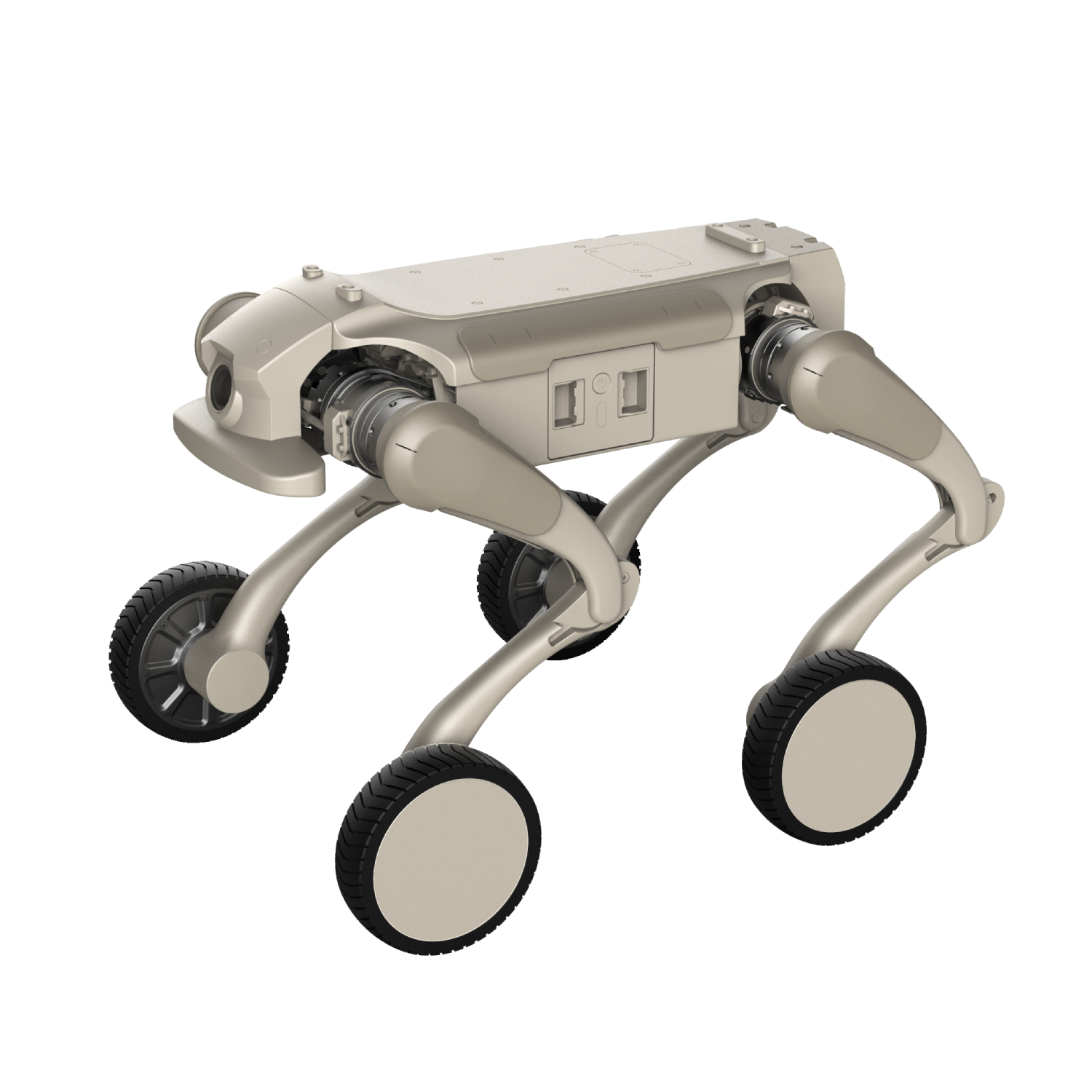Robotic Dog L1-W